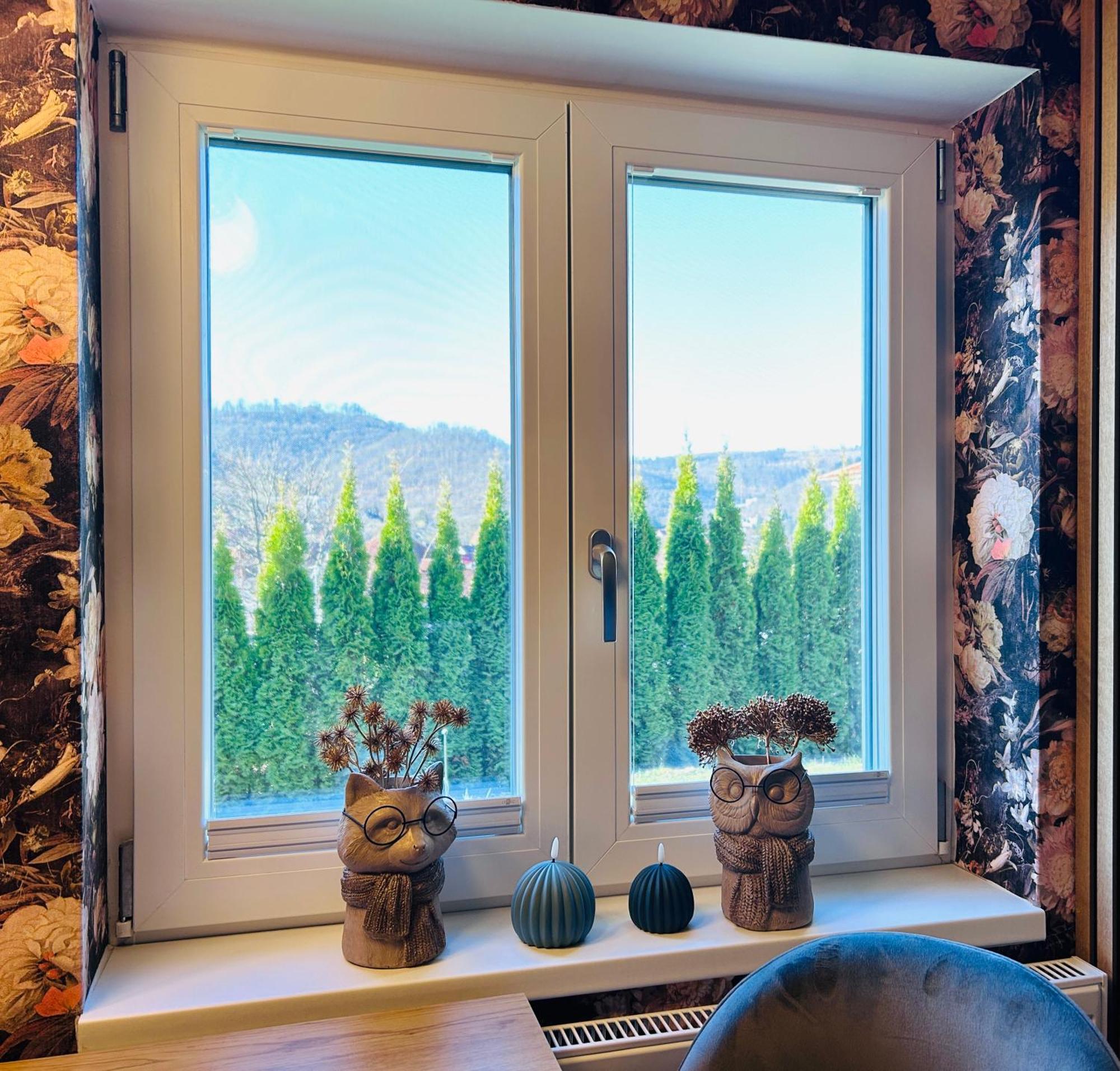 Wohnung Goethe'S Bergblick Bad Harzburg Buitenkant foto
